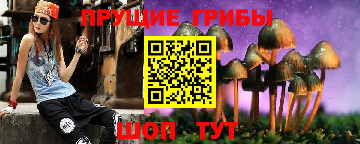 Шали  Псилоцибиновые грибы Magic Shrooms  Вход с VPN  Галлюциногенные грибы MAGIC MUSHROOMS 